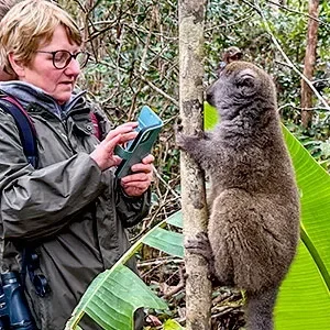 13-Day Best Madagascar Tours with Private Guide