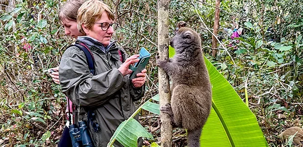13-Day Best Madagascar Tours with Private Guide