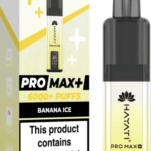 BOX OF 5 | Hayati Pro Max+ 6000 Pre-Filled VAPE Kit