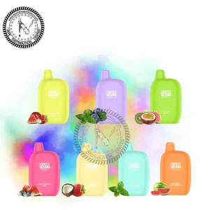 Flum Pebble Vape Disposable 6000 Puffs