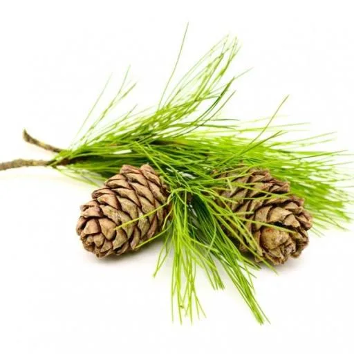 Goloka - Cedarwood Natural & Undiluted Essential Oil 10ml