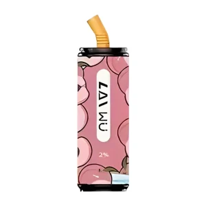 LAI WU Coke Tin Disposable Vape 5000 Puffs – Peach Ice