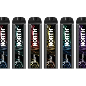 NORTH 5000 Rechargeable Disposable Device – 5000 Puffs