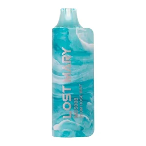 Plum Rose Mint Lost Mary MO5000 - Vapeoutletus Online Vape Store